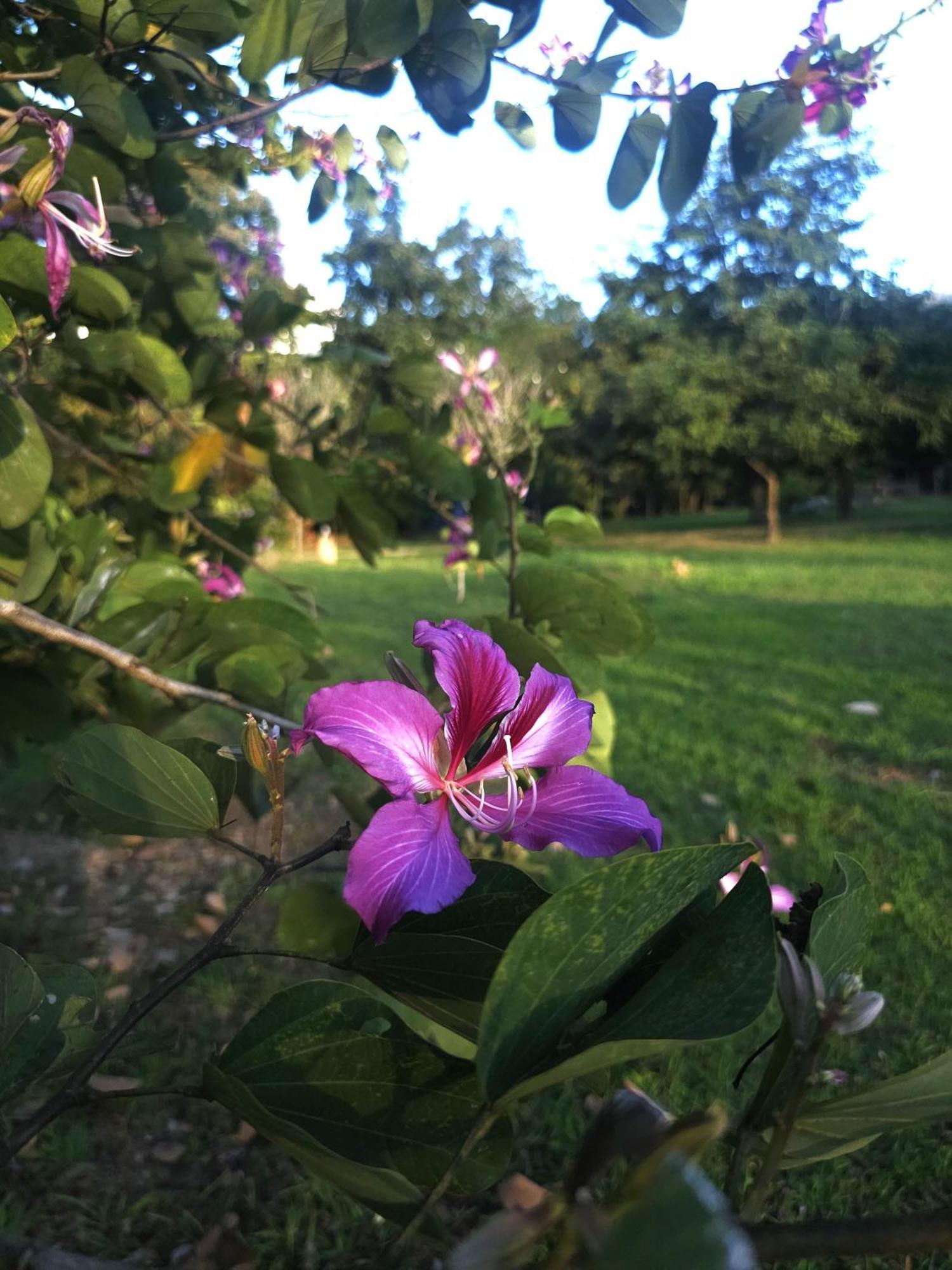 Pai Kiniman Resort Exteriér fotografie